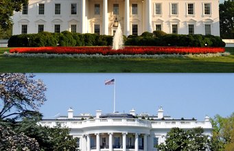Trump Just Announced What He’s Doing To WH Christmas Tree No Matter How Many Libs Are MAD About It Trump Just Announced What He’s Doing To WH Christmas Tree No Matter How Many Libs Are MAD About It